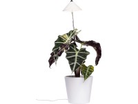 LED-Pflanzenlampe Sunlite Weiss 7 W LED-Pflanzenlampe Sunlite Weiss 7 W