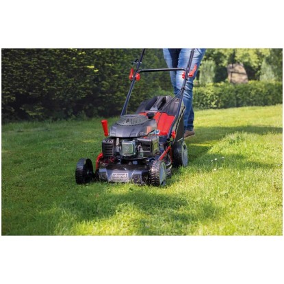 Scheppach BenzinRasenmäher MS16146 161cc kaufen bei OBI