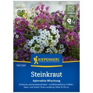 Sementi Kiepenkerl Alyssum Aphrodite Mix con fiori bianchi, rosa e viola.
