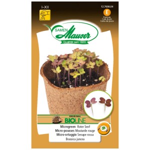 Samen Mauser Bio-Microgreen Senape Rossa con foglie verdi e bordo rossastro in vaso.