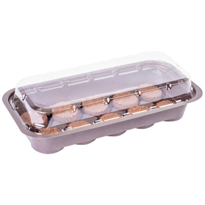 Videx Garden Zimmertreibhaus mit 10 Kokos-Quelltabs (HxBxT) 7 x 11 x 26 cm