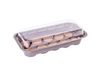 Videx Garden Zimmertreibhaus mit 10 Kokos-Quelltabs (HxBxT) 7 x 11 x 26 cm