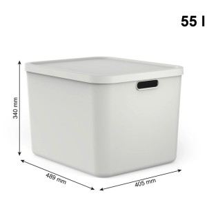 Rotho Multibox Albula Mistletoe Weiss 55l. Stapelbare Aufbewahrungsbox mit Deckel und Griffen.