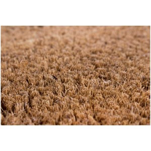 Gros plan d'un paillasson en fibre de coco marron, 40x60 cm.
