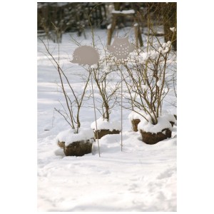 Gartenstecker Igel Grau als winterliche Gartendeko im Schnee.