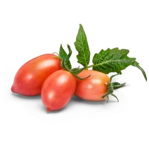 Mini tomates roses Véritable Lingot, graines potagères fraîches pour jardins d'intérieur.