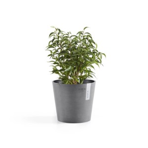 Pot de fleurs Ecopots Amsterdam, Ø 17cm, gris, avec plante verte. Idéal pour l'intérieur et l'extérieur.