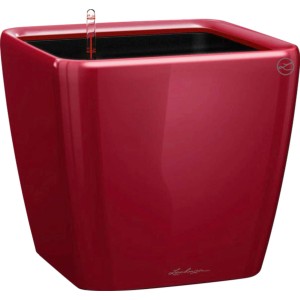 Lechuza Quadro Premium LS vaso per piante, 22x22x21 cm, Rosso Scarlet. Vaso quadrato con sistema di auto-irrigazione.