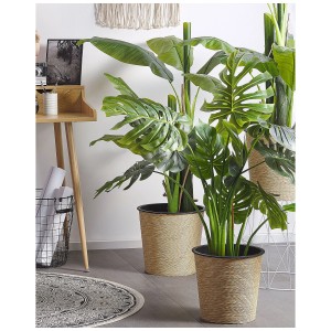 Primo piano: pianta artificiale Monstera in vaso, aspetto realistico, foglie verdi.