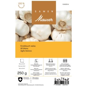Samen Mauser Aglio Bianco, confezione da 250g di aglio da piantare.