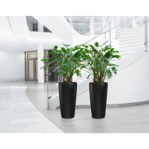 Deux pots de fleurs Lechuza Rondo Premium 32 en noir mat avec des plantes vertes dans une pièce lumineuse.