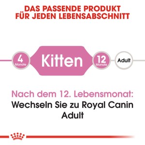 Royal Canin Kitten Food: Grafica che mostra il passaggio dall'alimento Kitten all'Adult dopo 12 mesi.