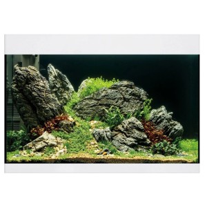 Oase Aquarium Styleline 125, blanc, planté et décoré avec des pierres.
