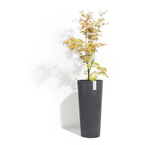 Ecopots Amsterdam pot haut, gris foncé, 70cm, avec petit arbre.