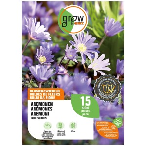 GROW by OBI Blumenzwiebeln Anemonen BlueShades, 15 Stück. Zarte, blaue Frühlingsblüher für Garten & Beet.