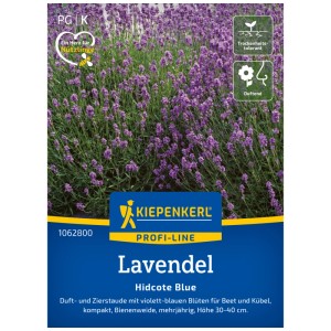 Kiepenkerl Lavendel Hidcote Blue Saatgut: Violette Blüten auf der Packung.