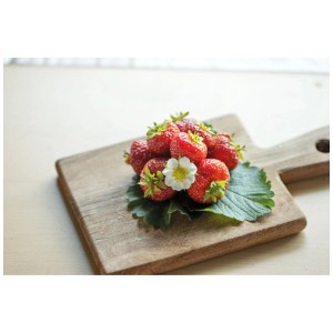 Fragola Siskeep su tagliere di legno: Frutti rosso scuro, grandi e fiore bianco della pianta di fragola.