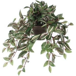 Pianta artificiale pensile Tradescantia in vaso, foglie verdi con strisce bianco-rosa, altezza circa 45 cm.