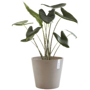 Vaso per piante Ecopots Amsterdam, French Taupe, Ø 40cm, con pianta verde. Ideale per interni ed esterni.