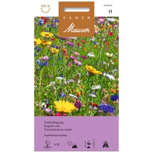 Samen Mauser sovescio paradiso degli insetti: Mix di fiori colorati per insetti.