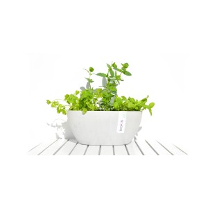 Pot de fleurs Ecopots Sofia, gris-blanc, planté d'herbes aromatiques.