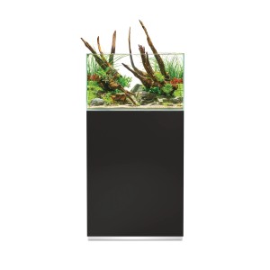 Ensemble aquarium Oase ScaperLine 60 noir avec meuble et décoration aquascape.