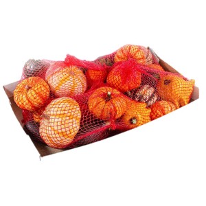 Zierkürbis-Mischung im Netz: Herbstliche Deko-Kürbisse in Orange, Gelb und Grün für eine gemütliche Atmosphäre.