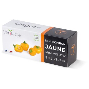 Véritable Lingot Bio Mini Poivron Jaune, pack de graines pour jardins d'intérieur.