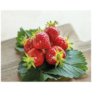 Fragole rosse fresche Renaissance su foglie verdi. Frutti a forma di cuore in vaso.