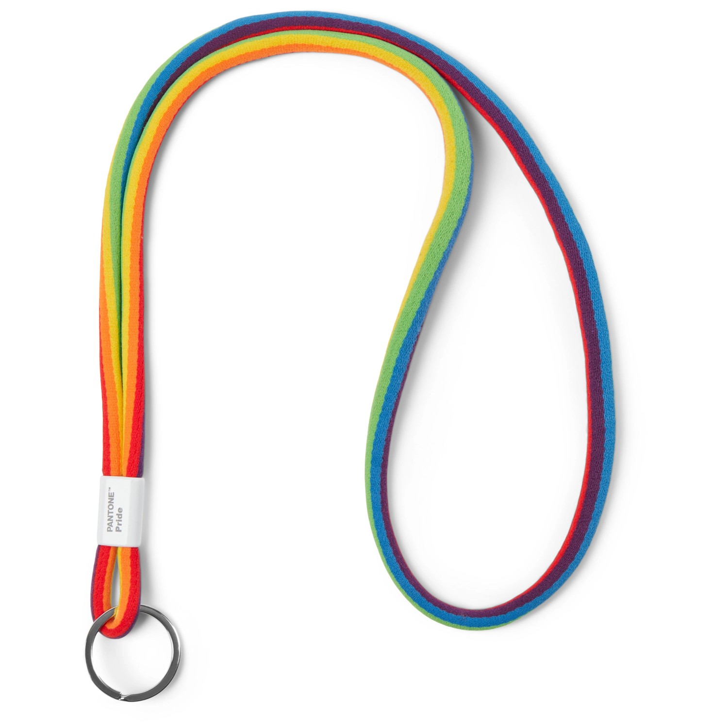 Pantone X CPH Design Schlüsselband lang Pride 48 x 3,3 cm kaufen bei OBI