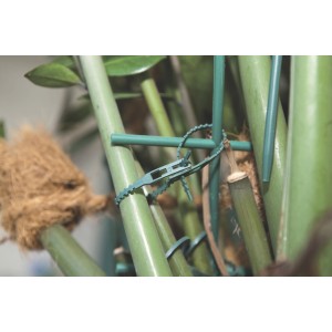 Attache pour plantes Windhager verte (14 cm) utilisée pour le support des plantes.