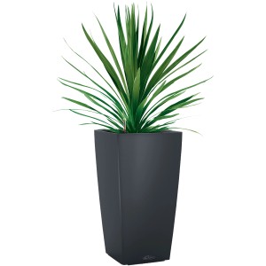 Pot de fleurs Lechuza Cubico Color 22 gris ardoise avec plante verte, adapté pour l'intérieur et l'extérieur.