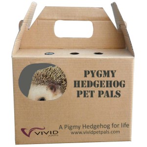 Vivid Arts Zwerg-Igel in Verpackung, Gartendeko aus Polyresin, braun.