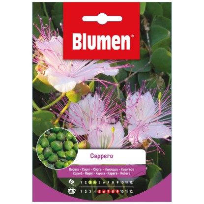 Samen Mauser Semences de légumes câpres