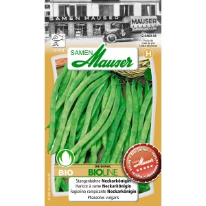 Sachet de graines de haricot rame Neckarkönigin avec de longs haricots verts.