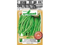 Graines de légumes haricot à rame Neckarkönigin
