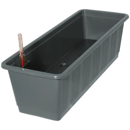 Blumenkasten Aqua Green Plus Anthrazit (HxBxT) 17 x 20 x 59 cm