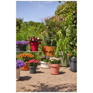 Divers pots de fleurs Florus Paris de différentes couleurs et tailles dans le jardin.