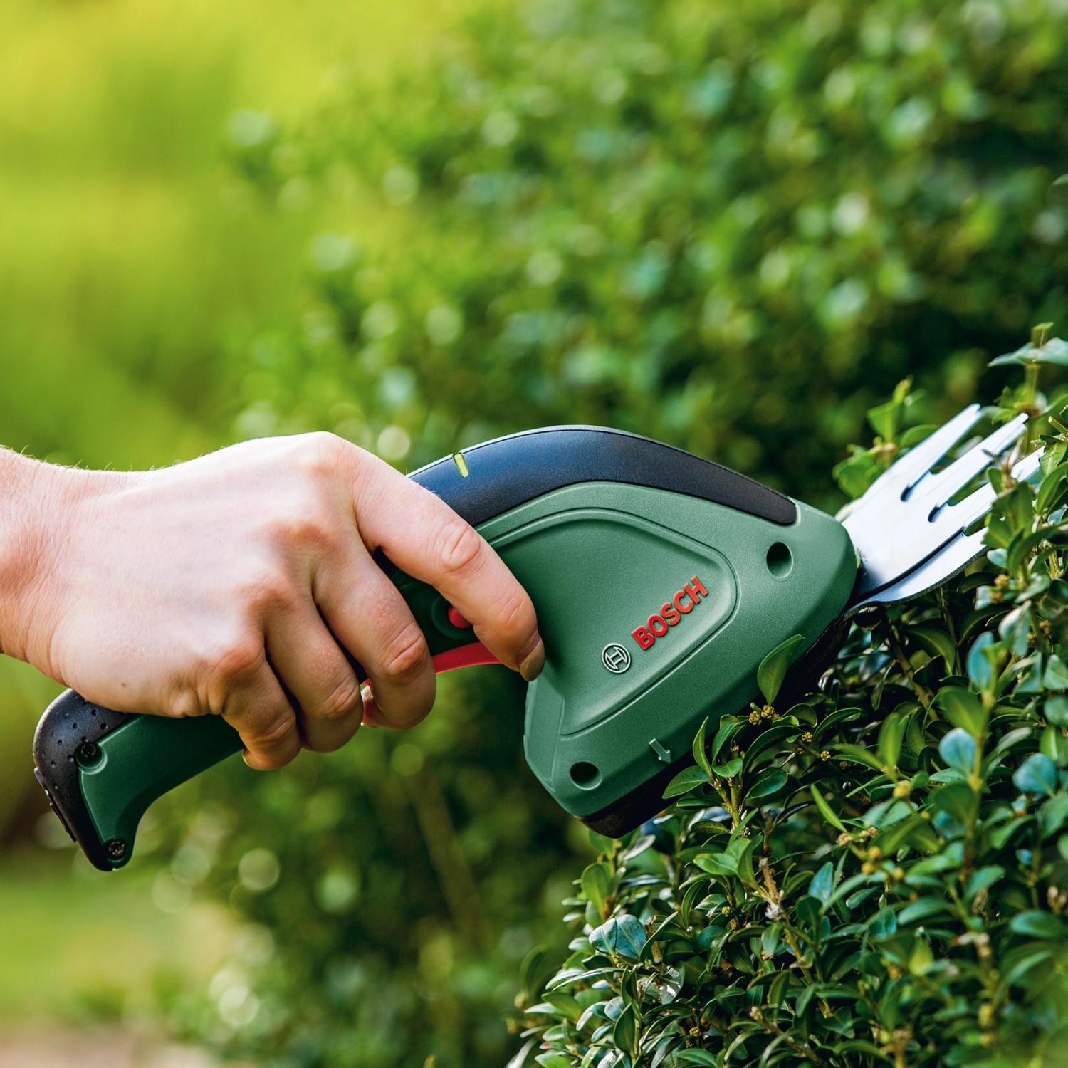 Bosch AkkuGras und StrauchScherenSet EasyShear kaufen bei OBI