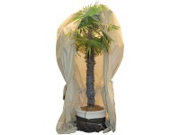 Videx Palmen Vlieshaube Extreme Ø 170 cm