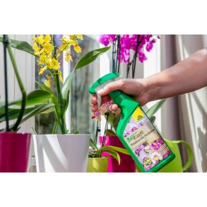 Applicazione di Neudorff BioKraft Vitalkur per orchidee da flacone spray verde.