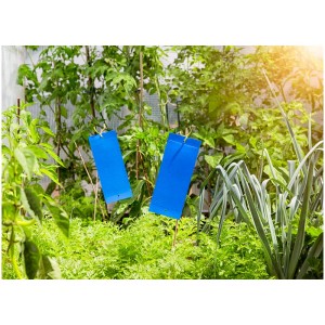 Trappole blu Windhager per tripidi, confezione da 10 per il controllo dei parassiti in giardino.