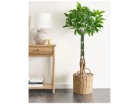 Beliani Kunstpflanze Pachira Tree Grün Höhe 120 cm