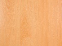 Möbelbauplatte Buche Holznachbildung 260 x 20 x 1,9 cm