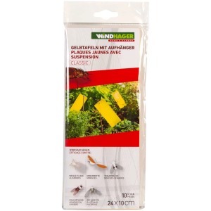 Trappole gialle Windhager, 10 pz, per il controllo degli insetti sulle piante.