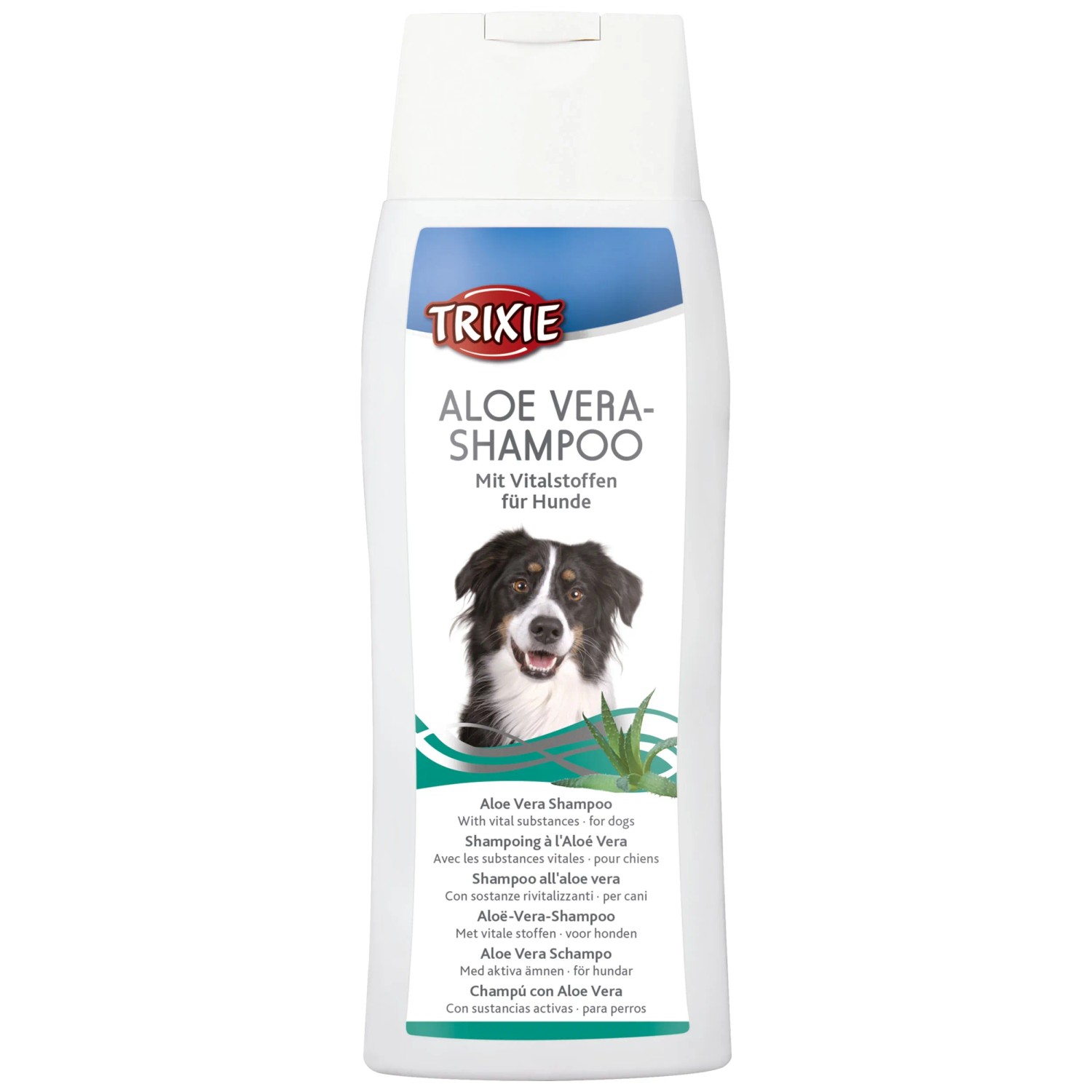 Aloe Vera kaufen bei OBI