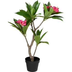 Kunstpflanze Frangipani-Baum mit rosa Blüten im schwarzen Topf, 90 cm hoch.