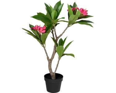 kleine körbe Körbe, Körbe, - jetzt neu von ediths Home! LengthRange:140.00
