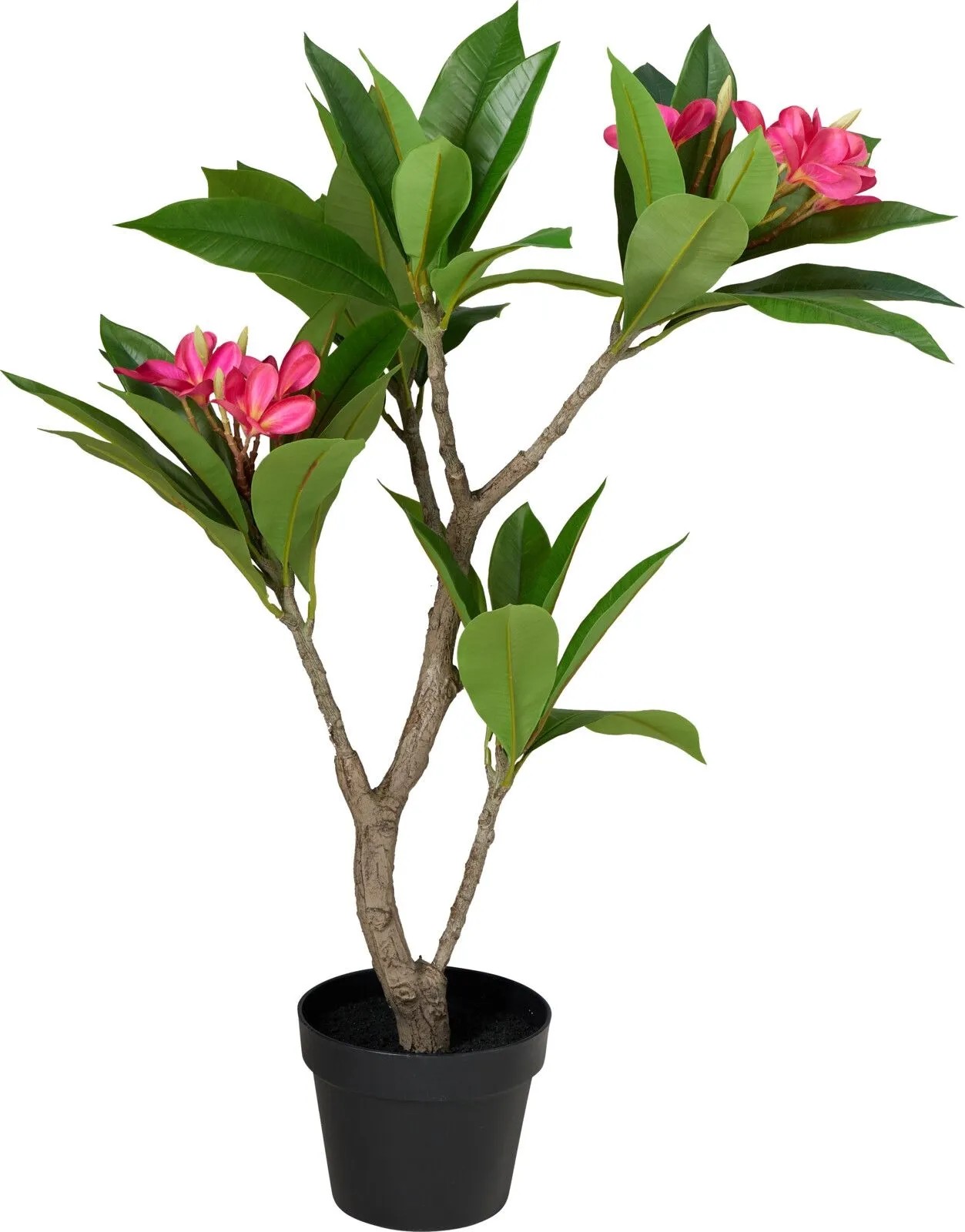 Kunstpflanze Frangipani-Baum Rosa 90 cm kaufen bei OBI