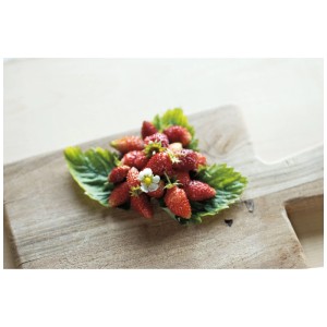 Fragola Alexandria su tagliere di legno: Fragole di bosco aromatiche con fiore, ideale per giardino e balcone.